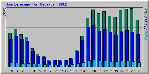 Hourly usage for December 2012