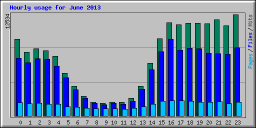 Hourly usage for June 2013
