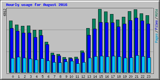 Hourly usage for August 2016