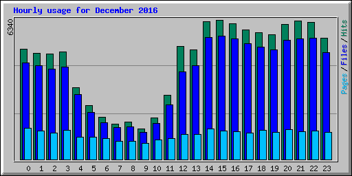 Hourly usage for December 2016