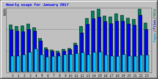 Hourly usage for January 2017