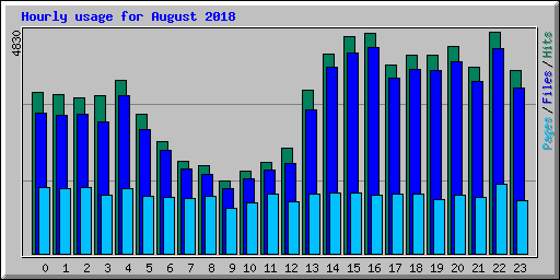 Hourly usage for August 2018